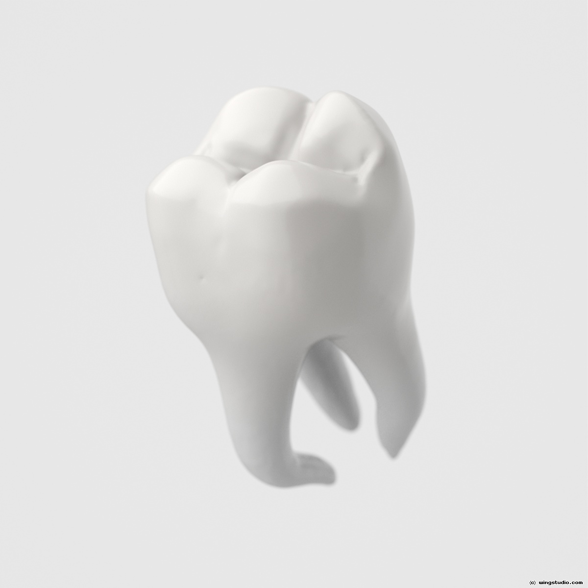 10256-01-122_teeth2.jpg
